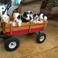 processed/732a1749-41a6-49cc-8075-9c52d658297e/facility/425defb9-0d7f-437e-86fb-6d7f6b5a0cba