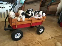 processed/732a1749-41a6-49cc-8075-9c52d658297e/facility/425defb9-0d7f-437e-86fb-6d7f6b5a0cba