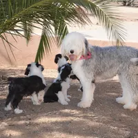 processed/732a1749-41a6-49cc-8075-9c52d658297e/facility/57a08242-66c1-4b89-8a5b-9d2660850c60