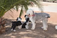 processed/732a1749-41a6-49cc-8075-9c52d658297e/facility/57a08242-66c1-4b89-8a5b-9d2660850c60