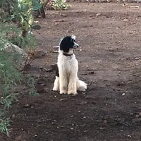 processed/732a1749-41a6-49cc-8075-9c52d658297e/facility/9f1ed77c-be0a-49b9-946e-99b5007722bb