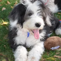 processed/732a1749-41a6-49cc-8075-9c52d658297e/facility/ba643233-dd0d-4c50-9541-e6dd47e3b849