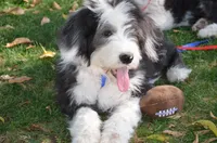 processed/732a1749-41a6-49cc-8075-9c52d658297e/facility/ba643233-dd0d-4c50-9541-e6dd47e3b849