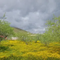 processed/732a1749-41a6-49cc-8075-9c52d658297e/facility/bbc84949-51a2-437c-a477-005e9cb73b9d