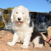 processed/732a1749-41a6-49cc-8075-9c52d658297e/facility/ec759831-7eec-4459-8f8a-e13da04b716a