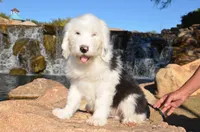 processed/732a1749-41a6-49cc-8075-9c52d658297e/facility/ec759831-7eec-4459-8f8a-e13da04b716a