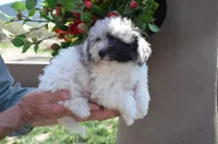 processed/732a1749-41a6-49cc-8075-9c52d658297e/listing/14102e27-bee6-4209-977f-edcaa7ab75b2/bba526ef-403d-477c-95d7-c9bd4897b63e