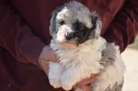 processed/732a1749-41a6-49cc-8075-9c52d658297e/listing/14102e27-bee6-4209-977f-edcaa7ab75b2/e3997159-b243-4e7d-bfa7-e021071fcec9