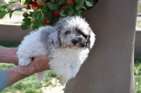 processed/732a1749-41a6-49cc-8075-9c52d658297e/listing/14102e27-bee6-4209-977f-edcaa7ab75b2/f962900d-3446-4f1c-ae11-5163874f6f18