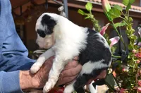 processed/732a1749-41a6-49cc-8075-9c52d658297e/listing/18b9500f-4453-4927-9066-b1c188d0027a/47efe11c-3490-4291-bab0-2c18a820651f