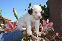 processed/732a1749-41a6-49cc-8075-9c52d658297e/listing/18b9500f-4453-4927-9066-b1c188d0027a/6f2081cd-abd7-4534-8e24-d1f971d6a85e