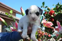 processed/732a1749-41a6-49cc-8075-9c52d658297e/listing/18b9500f-4453-4927-9066-b1c188d0027a/8d7cb59e-4ea7-42c3-8c15-3a9e8cb9b4a6