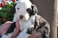 processed/732a1749-41a6-49cc-8075-9c52d658297e/listing/20a208c0-2278-458c-806a-e76b26e21127/3cf613ce-eb78-4b5b-a0e9-9e374855a635