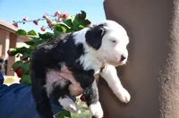 processed/732a1749-41a6-49cc-8075-9c52d658297e/listing/20a208c0-2278-458c-806a-e76b26e21127/957ea1ae-da93-4b90-8875-c35913491250