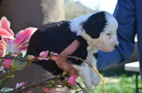 processed/732a1749-41a6-49cc-8075-9c52d658297e/listing/215e0a92-d65c-4148-a22f-63c6d3cefa47/08033d04-a4d5-4950-b757-8018df9f0478