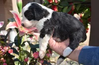 processed/732a1749-41a6-49cc-8075-9c52d658297e/listing/215e0a92-d65c-4148-a22f-63c6d3cefa47/2fad96ee-6022-4d40-ad5c-fa2a390768b9