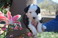 processed/732a1749-41a6-49cc-8075-9c52d658297e/listing/215e0a92-d65c-4148-a22f-63c6d3cefa47/3f3dc266-c593-44ba-864e-6c0a42c5e405