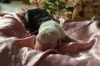 processed/732a1749-41a6-49cc-8075-9c52d658297e/listing/21b25eac-3d59-4d16-ac2e-056d409841a6/4eb4c8c0-9a29-4895-907d-7dedc809704c