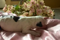 processed/732a1749-41a6-49cc-8075-9c52d658297e/listing/251b9f27-84bd-4820-a301-b9bc1123aa40/063cd9fe-19d3-40e7-9f27-01efaa7ef16c