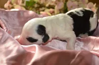 processed/732a1749-41a6-49cc-8075-9c52d658297e/listing/251b9f27-84bd-4820-a301-b9bc1123aa40/1290a8b8-c7b3-45f2-bf5a-ab6bb71527ae