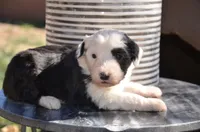 processed/732a1749-41a6-49cc-8075-9c52d658297e/listing/2c59063b-1c62-44ef-a085-f291fa1c4091/d1918197-9021-41e6-93d2-4ca9ef5e3be2