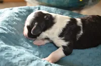 processed/732a1749-41a6-49cc-8075-9c52d658297e/listing/3a07aa09-ca49-43e1-931c-49f1ae1a7be5/1420833c-b24f-4079-a61a-50e05732bd60