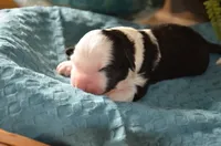 processed/732a1749-41a6-49cc-8075-9c52d658297e/listing/3a07aa09-ca49-43e1-931c-49f1ae1a7be5/26951379-a9b6-401c-9c08-1d36c757fd1c