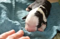 processed/732a1749-41a6-49cc-8075-9c52d658297e/listing/3a07aa09-ca49-43e1-931c-49f1ae1a7be5/4cfdf5e3-6d6c-40bf-8f0d-1ad88e9df2e7