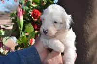 processed/732a1749-41a6-49cc-8075-9c52d658297e/listing/6914307d-010e-45a9-ba25-d56bd4e45723/5e9b8940-1046-4a4d-a452-f1ca692be7b4