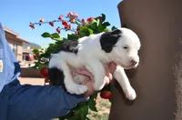 processed/732a1749-41a6-49cc-8075-9c52d658297e/listing/70245732-9684-4b59-867a-f109ed0bedcf/6a675852-bd30-45f3-b811-a82893511ead