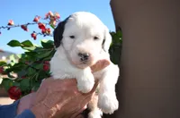 processed/732a1749-41a6-49cc-8075-9c52d658297e/listing/70245732-9684-4b59-867a-f109ed0bedcf/b1ad2174-0d41-48fd-8622-04590ab0c1ac