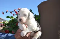 processed/732a1749-41a6-49cc-8075-9c52d658297e/listing/70245732-9684-4b59-867a-f109ed0bedcf/d573566f-9868-465c-a29b-a58c7f415f53