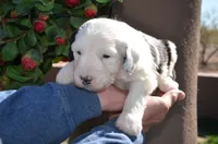 processed/732a1749-41a6-49cc-8075-9c52d658297e/listing/70245732-9684-4b59-867a-f109ed0bedcf/e42d8c3b-e87d-485b-9d3d-40f95e36c92c