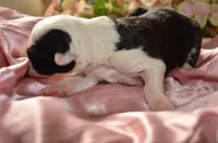 processed/732a1749-41a6-49cc-8075-9c52d658297e/listing/8d2f3ac3-556c-489d-897e-ad5e257445aa/28930933-257b-447b-aa63-26c5f6893b58