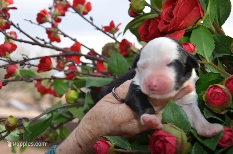 baby girl #7 just born