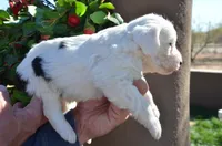 processed/732a1749-41a6-49cc-8075-9c52d658297e/listing/91c7efd0-7a3a-4fca-a80d-3398e870acd2/472db11e-58b2-4051-b4ce-b149edf56aaf