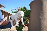 processed/732a1749-41a6-49cc-8075-9c52d658297e/listing/91c7efd0-7a3a-4fca-a80d-3398e870acd2/51ab9cf1-579c-4fe9-9230-170923a5b168