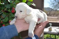 processed/732a1749-41a6-49cc-8075-9c52d658297e/listing/91c7efd0-7a3a-4fca-a80d-3398e870acd2/cde763e8-7fa5-479c-b076-fbdf22dedfe7