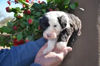 processed/732a1749-41a6-49cc-8075-9c52d658297e/listing/9347a0fd-d91b-4a7e-84cd-b0b45d624e71/96bdba09-bd02-440b-bbba-85d96f2ada08