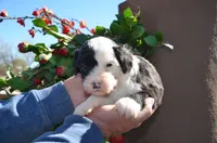 processed/732a1749-41a6-49cc-8075-9c52d658297e/listing/9347a0fd-d91b-4a7e-84cd-b0b45d624e71/eb88364c-3161-4efb-80d8-b884f71f8067