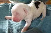 processed/732a1749-41a6-49cc-8075-9c52d658297e/listing/9aedb6c1-d7fe-4063-aa17-2dab19a0f1fb/bc762d56-b7b0-41a2-b20d-02b49e8eaa4a