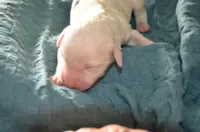 processed/732a1749-41a6-49cc-8075-9c52d658297e/listing/9aedb6c1-d7fe-4063-aa17-2dab19a0f1fb/e1341307-3e4a-43fe-be6c-0ef757639728