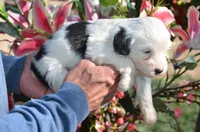 processed/732a1749-41a6-49cc-8075-9c52d658297e/listing/b2ed3bf4-cb1e-4bfb-a242-9b03ef763d0f/4d12f540-681b-484e-a502-cb6bfbcbdef8