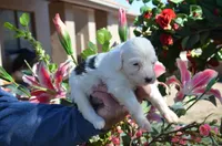 processed/732a1749-41a6-49cc-8075-9c52d658297e/listing/e0334538-1e1a-4dac-a921-3a70231a3db0/3e4ab6c6-0b03-48eb-8937-fc57b7d9053b