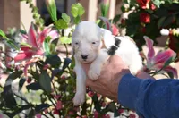 processed/732a1749-41a6-49cc-8075-9c52d658297e/listing/e0334538-1e1a-4dac-a921-3a70231a3db0/ee59dcb4-dd13-46ef-8115-b8c19da3b5e7