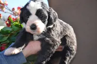 processed/732a1749-41a6-49cc-8075-9c52d658297e/listing/e7211504-4cf1-4ca6-a943-78492641ecc2/638b531d-7154-4e15-b019-1f81f5e1b309