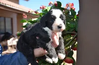 processed/732a1749-41a6-49cc-8075-9c52d658297e/listing/e7211504-4cf1-4ca6-a943-78492641ecc2/826fa616-2ff4-4660-8390-d670d2348874