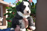 processed/732a1749-41a6-49cc-8075-9c52d658297e/listing/e7211504-4cf1-4ca6-a943-78492641ecc2/863e6fb1-f1a1-4b46-bde8-67a6b24be27b