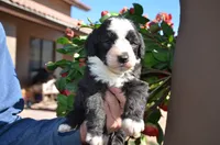 processed/732a1749-41a6-49cc-8075-9c52d658297e/listing/e7211504-4cf1-4ca6-a943-78492641ecc2/b810a9a8-408b-4ea7-90e7-88ee35da8bb9