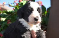 processed/732a1749-41a6-49cc-8075-9c52d658297e/listing/e7211504-4cf1-4ca6-a943-78492641ecc2/c9954969-38b8-4def-9643-4f4096118e3d